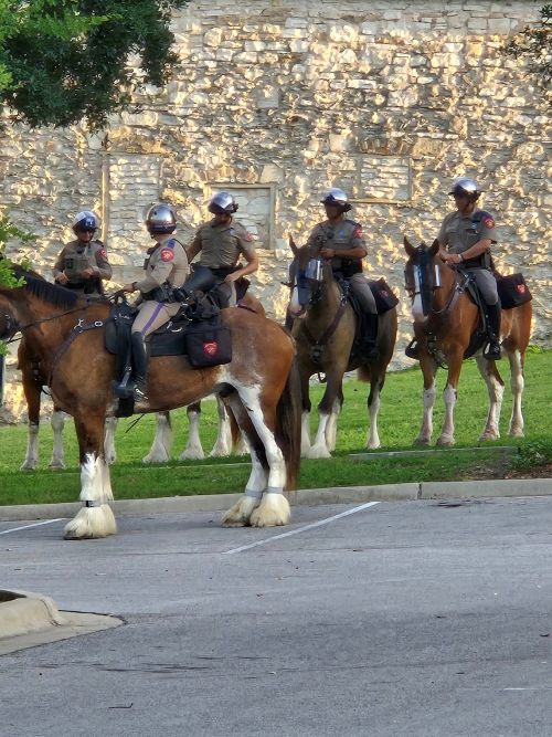 Mounted Police